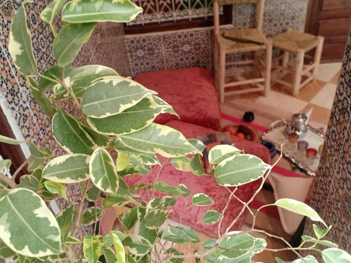 Riad White House Marrakesh Buitenkant foto